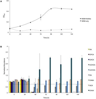 Aerobic Growth of Rhodococcus aetherivorans BCP1 Using Selected Naphthenic Acids as the Sole Carbon and Energy Sources